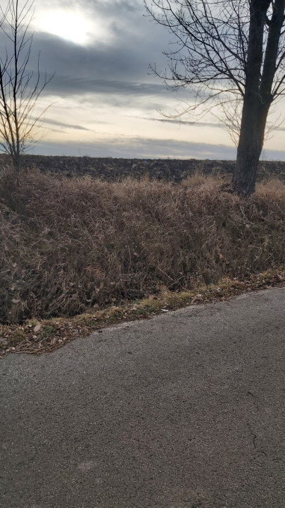 Teren extravilan Tureni 2000mp