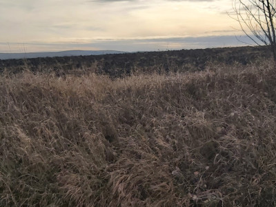 Teren extravilan Tureni 2000mp