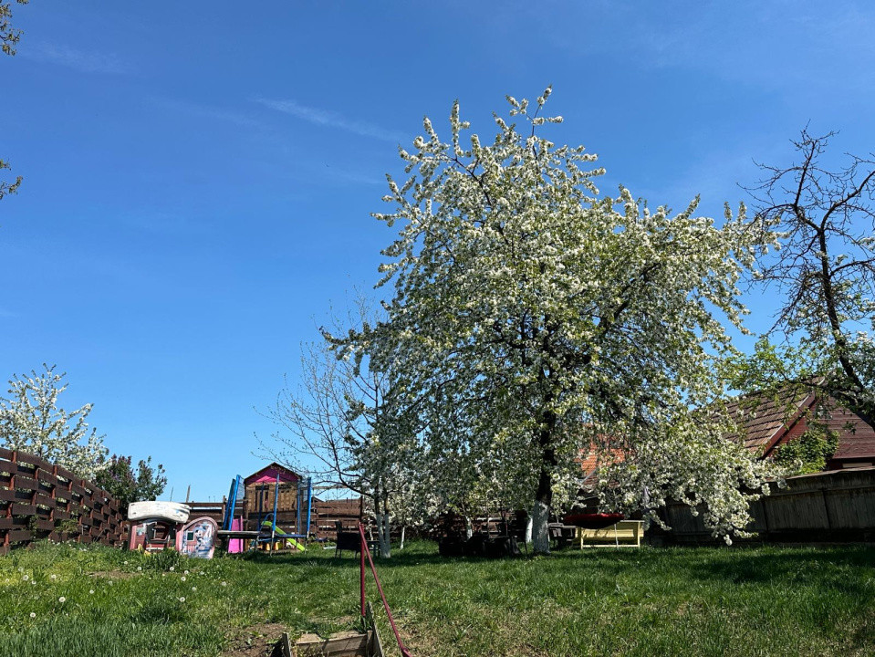 Casa individuală renovata, 764mp teren, Dâmbul Rotund