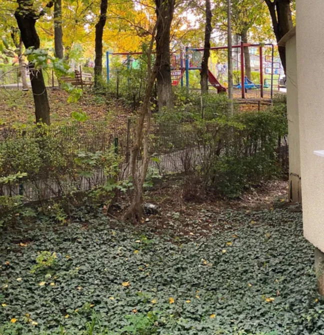 Apartament 2 camere+balcon,decomandat /ideal investitie/zona Mehedinti