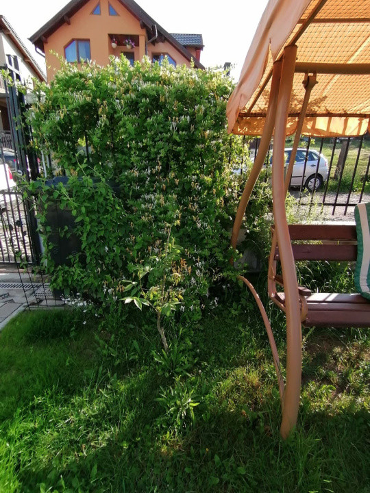 Casa tip duplex, 4 camere, 120 mp + 300 mp teren, zona Calea Baciului