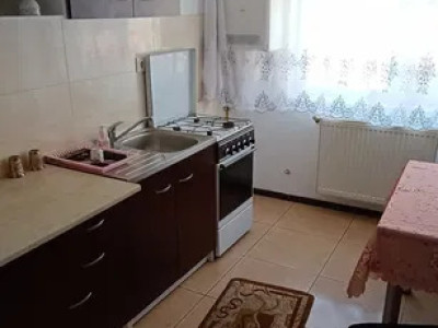 Apartament cu 2 camere, 40 mp, etajul 1, zona Stejarului