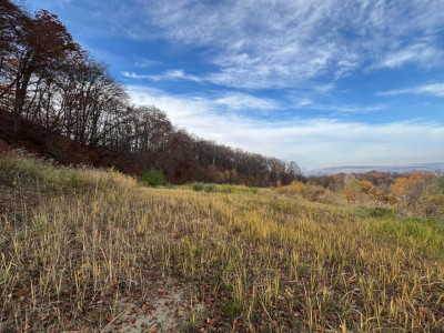 Teren de vanzare, Zona Wonderland, PUZ in lucru