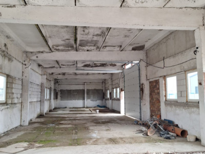 Hale de vanzare cu o suprafata totala de 5440 mp