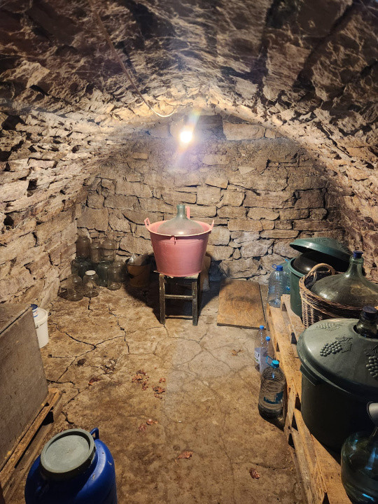 Casa idividuala de vanzare cu teren de 1000 mp