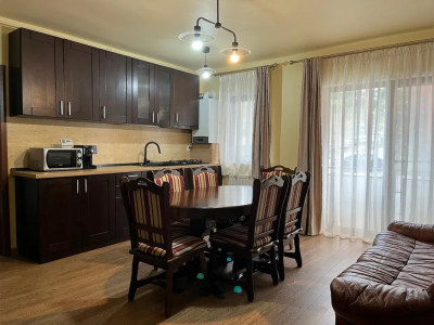 Apartament cu 3 camere, 60 mp, terasa, zona Stejarului