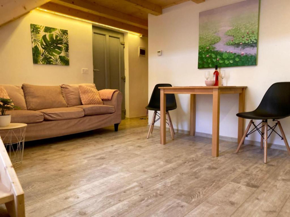 9  Apartamente 2 camere ultracentral - Investiție id