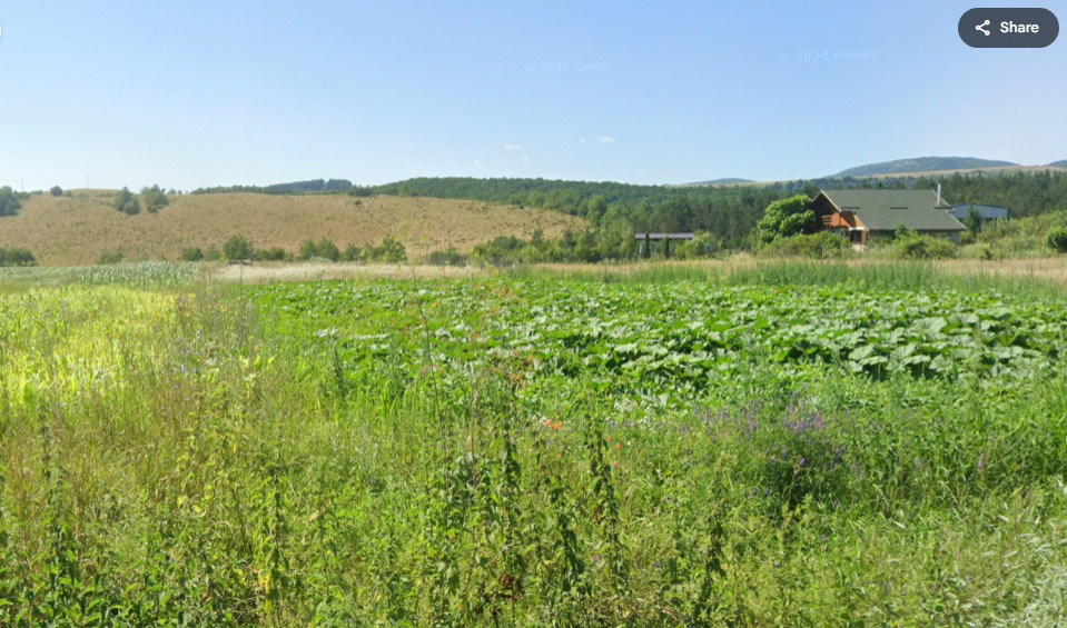 Teren de vanzare Savadisla 1400mp front la 2 drumuri 