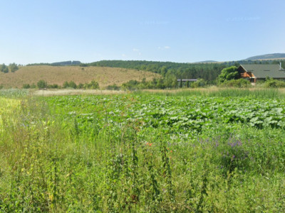 Teren de vanzare Savadisla 1400mp front la 2 drumuri 