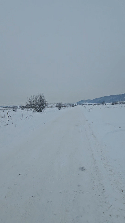 Hala de 600mp, teren de 1200mp, Gilau