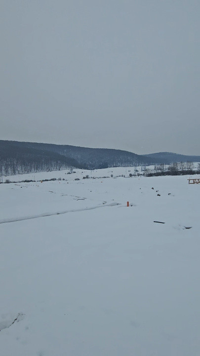 Hala de 600mp, teren de 1200mp, Gilau