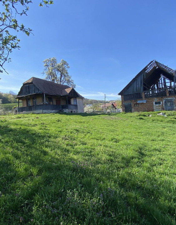 Teren cu casa demolabila Valea Chintaului 2000 mp extravilan 