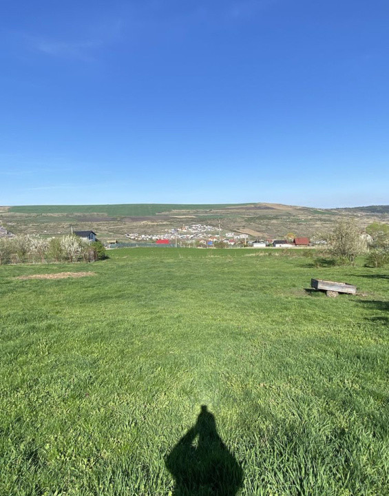 Teren cu casa demolabila Valea Chintaului 2000 mp extravilan 