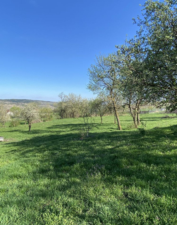 Teren cu casa demolabila Valea Chintaului 2000 mp extravilan 