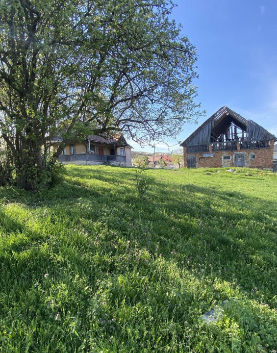 Teren cu casa demolabila Valea Chintaului 2000 mp extravilan 