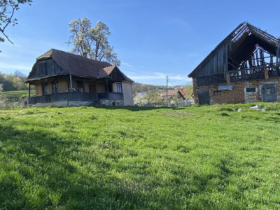 Teren cu casa demolabila Valea Chintaului 2000 mp extravilan 