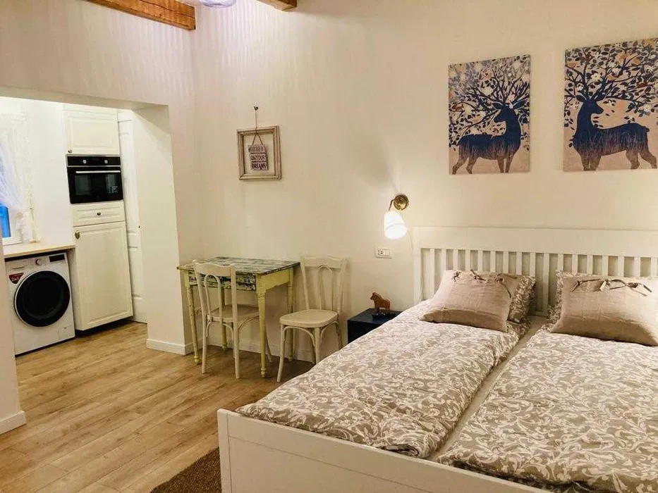 Studio modern Horea Centru