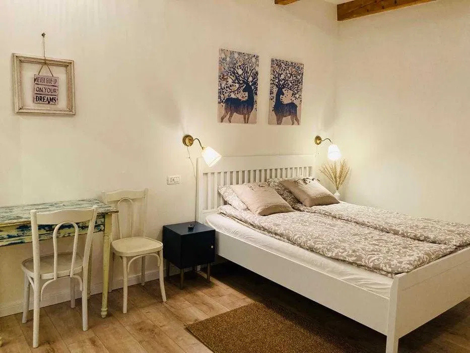 Studio modern Horea Centru