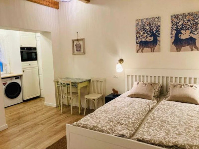 Studio modern Horea Centru