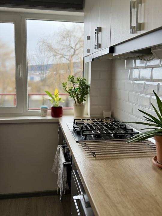 Vila /Casa cu potential in Faget ,510 mp utili