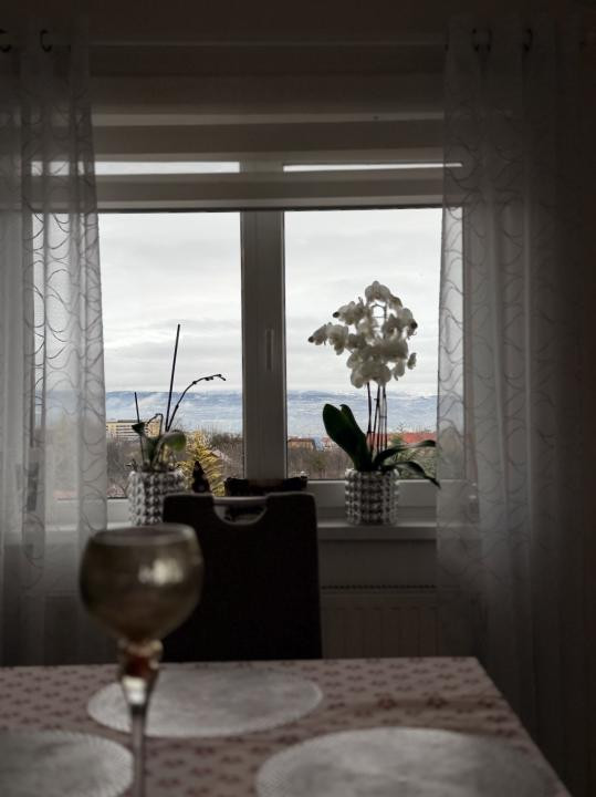 Vila /Casa cu potential in Faget ,510 mp utili