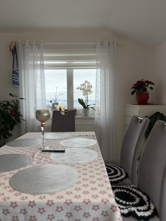 Vila /Casa cu potential in Faget ,510 mp utili