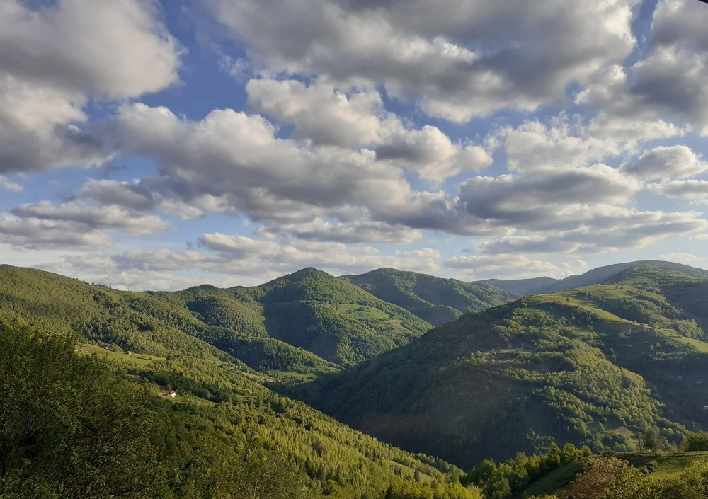 Cabana de vanzare, 8000 mp teren intravilan. Plopi