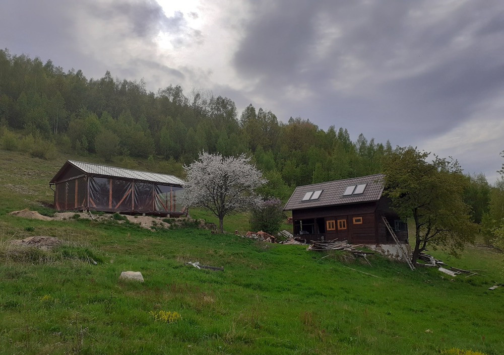 Cabana de vanzare, 8000 mp teren intravilan. Plopi