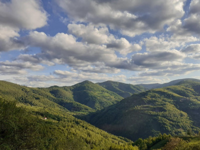 Cabana de vanzare, 8000 mp teren intravilan. Plopi