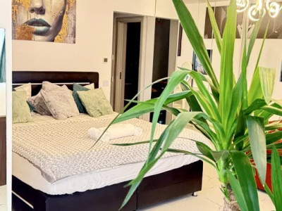 Apartament - business in regim hotelier - Iulius Mall