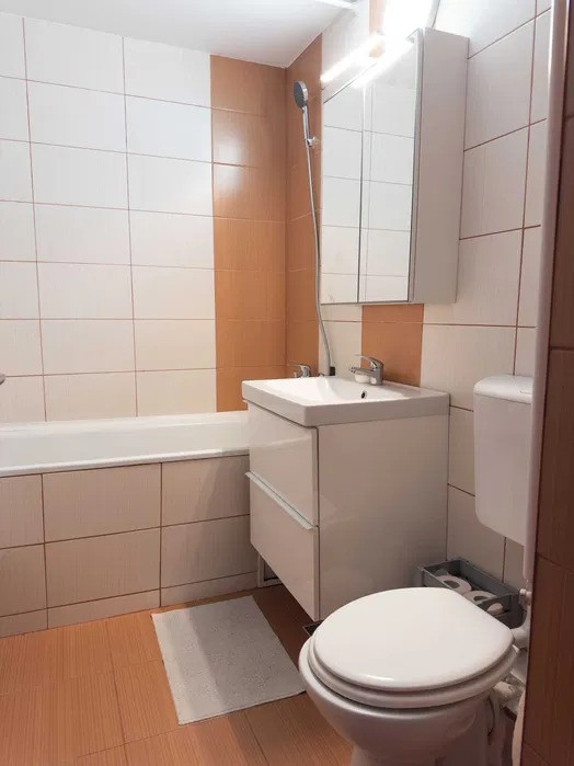 Apartament 2 camere decomandat, renovat , mobilat și utilat Între Lacuri
