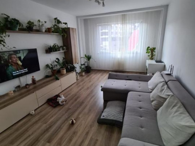 Apartament cu 2 camere, semidecomandat, 54 mp, mobilat/utilat, Valea Garbaului 