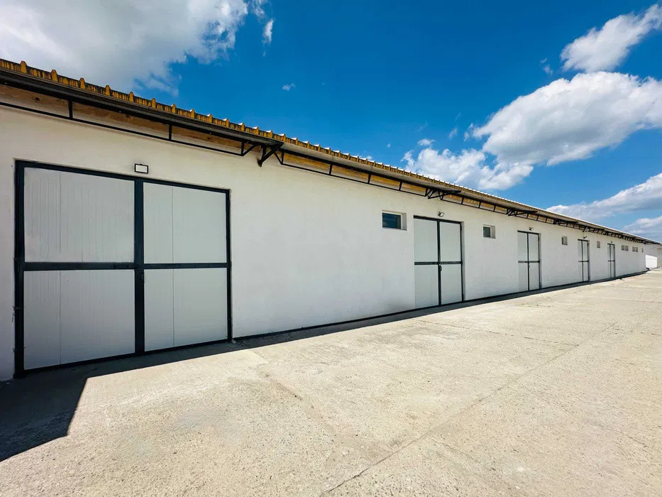 Hală 180 mp, renovată, acces TIR, utilități disponibile, zona Auchan Iris