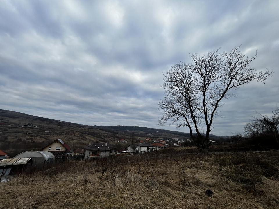 Teren intravilan 480mp Valea Chintaului pentru casa individuala D+P+1