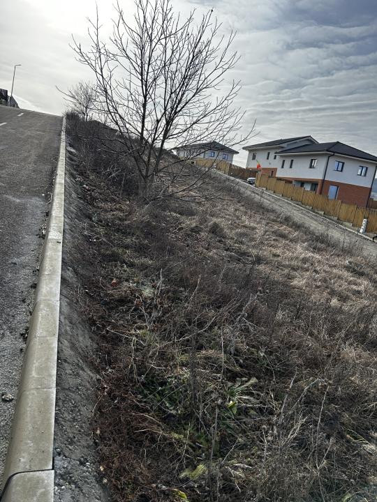 Teren cu proiect de casa Chinteni 519mp front la 2 strazi 