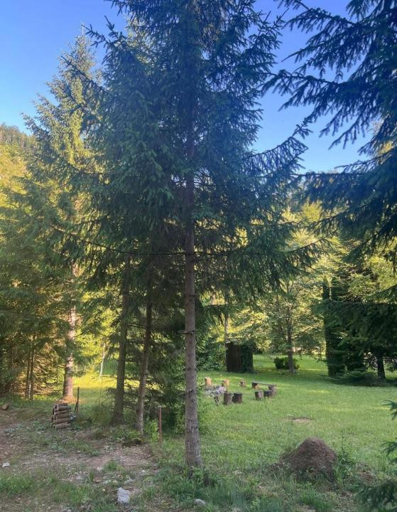 CABANA,CU TEREN DE 1500 MP