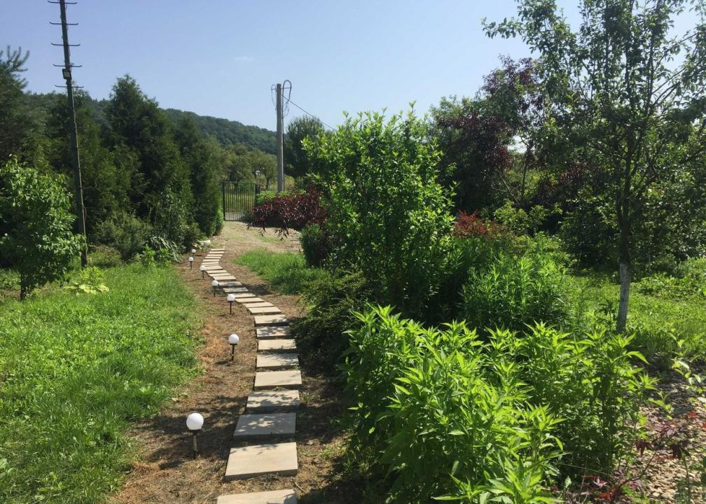 Teren intravilan, 4500 mp, casa de vacanta, in Baciu, zona Sun Garden