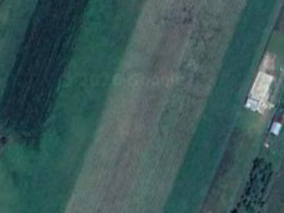 Teren intravilan, 5100 mp, toate utilitatile trase la parcela, Mera