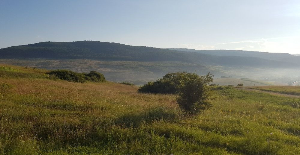 Teren intravilan 1000 mp, cu PUZ, zona platoului Radaia