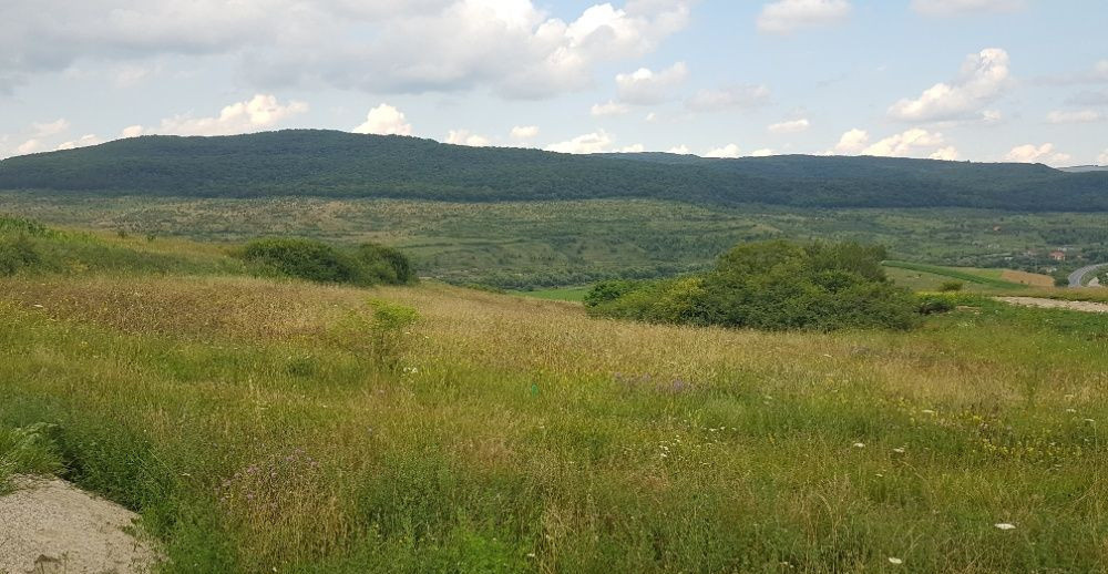 Teren intravilan 1000 mp, cu PUZ, zona platoului Radaia