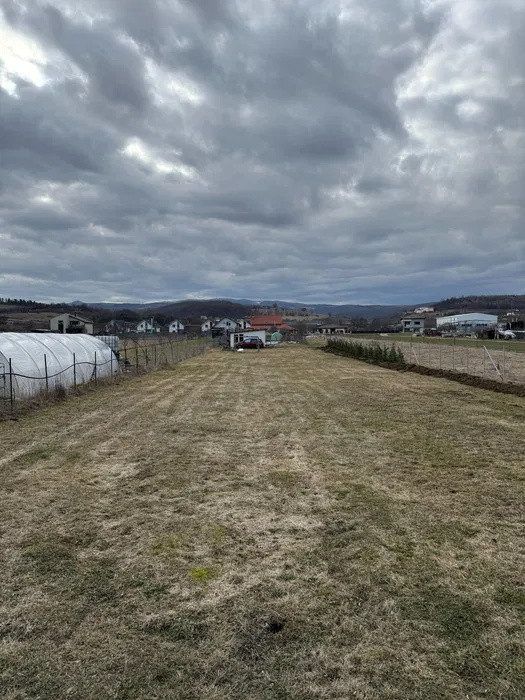 Teren intravilan/extravilan 2000 mp , Luna de Sus