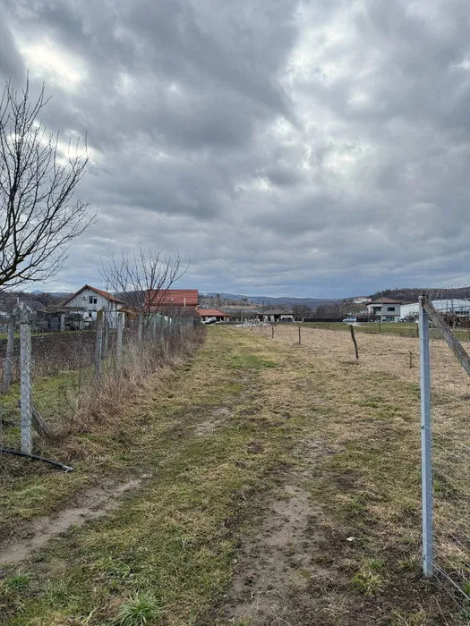 Teren intravilan/extravilan 2000 mp , Luna de Sus