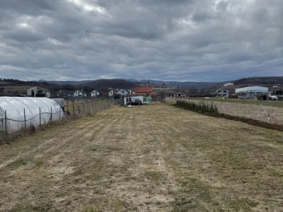 Teren intravilan/extravilan 2000 mp , Luna de Sus