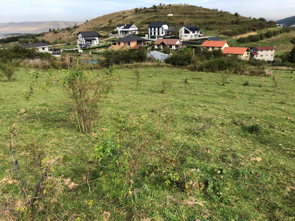 Teren Intravilan cuprins in PUG, 5100 mp, Tauti 