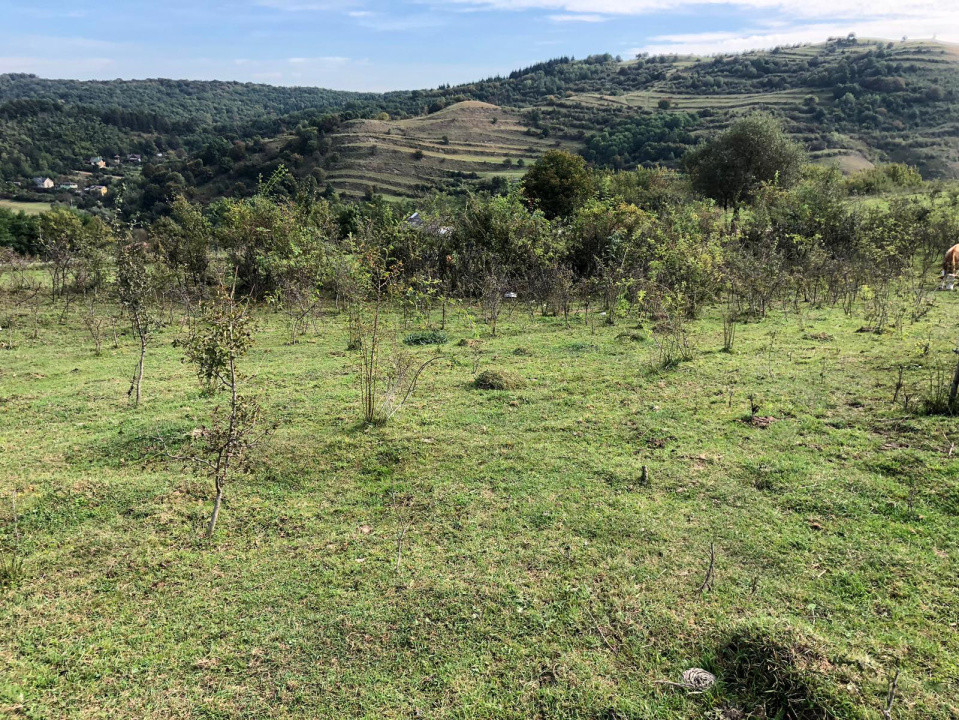 Teren Intravilan cuprins in PUG, 5100 mp, Tauti 