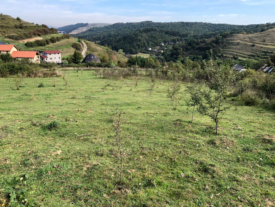 Teren Intravilan cuprins in PUG, 5100 mp, Tauti 