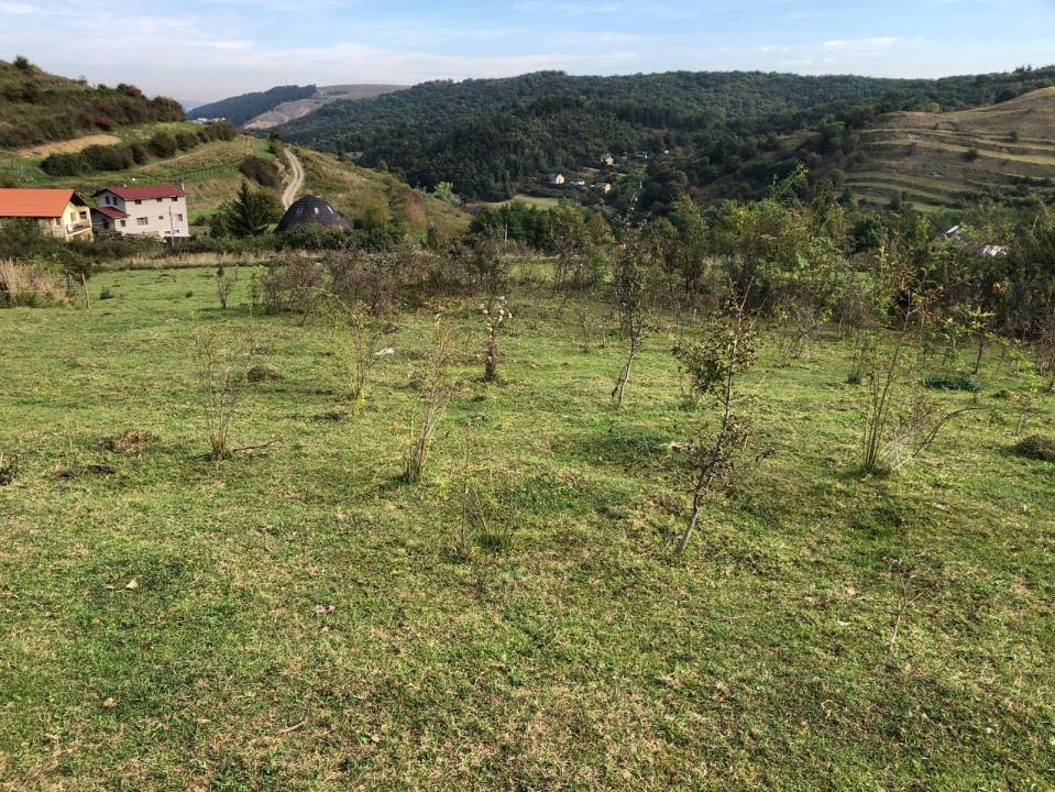 Teren Intravilan cuprins in PUG, 5100 mp, Tauti 