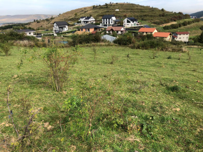 Teren Intravilan cuprins in PUG, 5100 mp, Tauti 