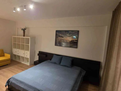 Apartament cu o cameră, renovat 2025