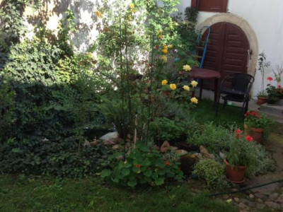 ULTRACENTRAL! Apartamet la Casa + gradina